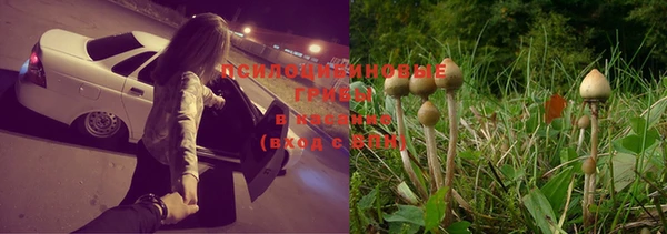 винт Покровск