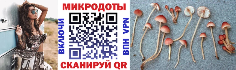 Псилоцибиновые грибы Magic Shrooms MEGA вход Сокол