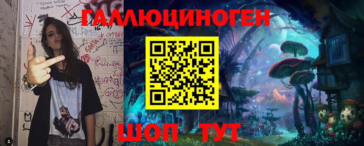 Галлюциногенные грибы Psilocybe Сокол