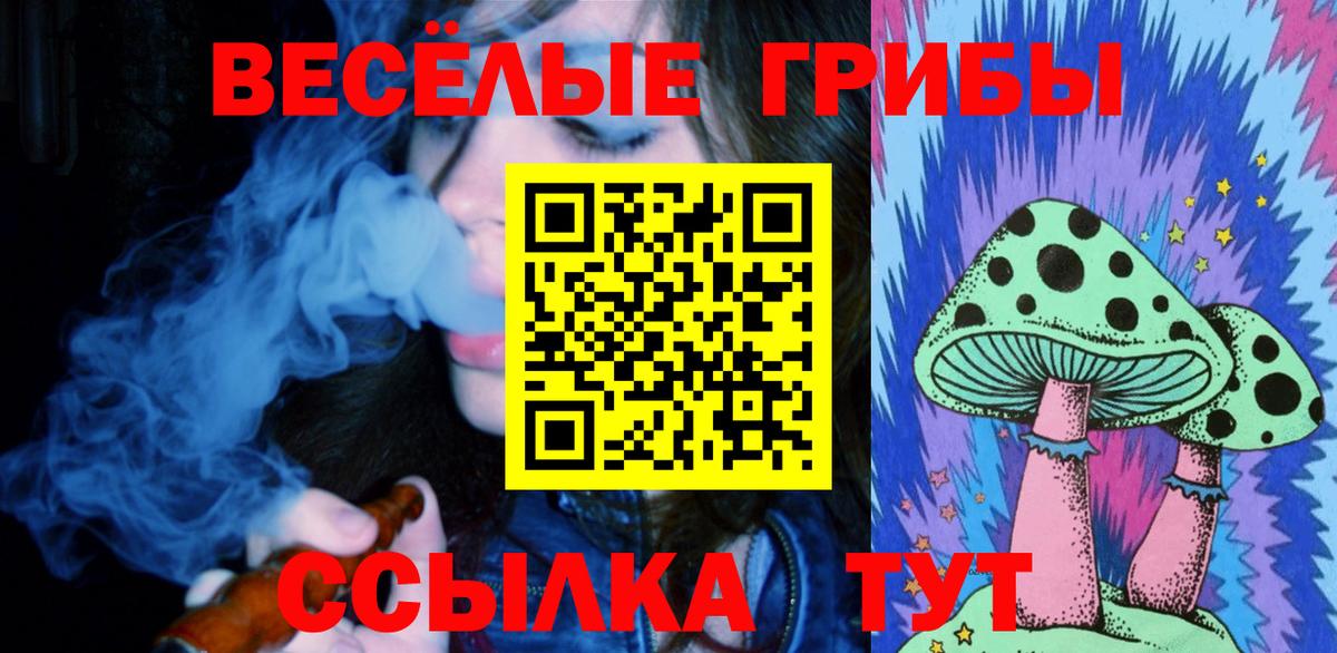 Сокол  Галлюциногенные грибы Cubensis  где продают наркотики  Вход с VPN 